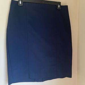 Van Heusen Skirt